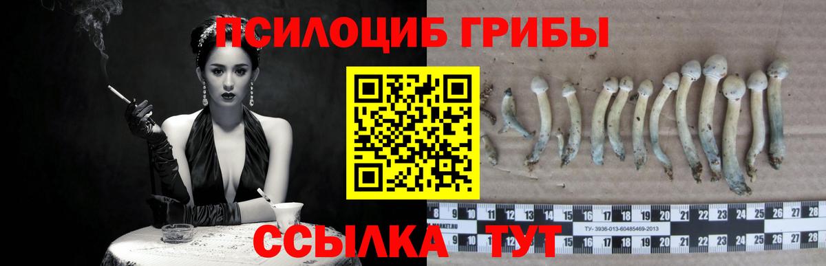Усолье-Сибирское  Галлюциногенные грибы мицелий  Вход с VPN  Псилоцибиновые грибы мицелий 